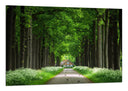 Cuadro Bosque , Casa Madera, Arboles,naturaleza