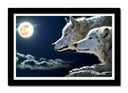 Cuadro enmarcado negro Lobos con Luna LLena en la Naturaleza