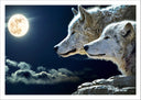 Lámina Lobos con Luna LLena en la Naturaleza