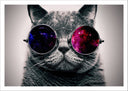 Lámina gato lennon, gafas, hippie, retro