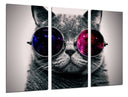 Tríptico gato lennon, gafas, hippie, retro