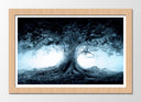 Cuadro enmarcado natural Paisaje Naturaleza Arbol