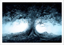 Lámina Paisaje Naturaleza Arbol
