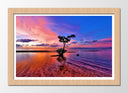 Cuadro enmarcado natural Paisaje Naturaleza Lago Laguna Arbol Atardecer