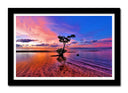 Cuadro enmarcado negro Paisaje Naturaleza Lago Laguna Arbol Atardecer