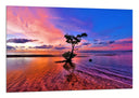 Cuadro Paisaje Naturaleza Lago Laguna Arbol Atardecer