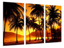 Tríptico paisaje playa con palmeras, atardecer, relax
