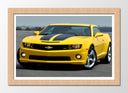 Cuadro enmarcado natural Coche Deportivo, Chevrolet Camaro