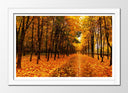 Cuadro enmarcado blanco Bosque Montaña Atardecer,naturaleza