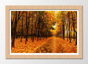 Cuadro enmarcado natural Bosque Montaña Atardecer,naturaleza