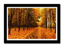 Cuadro enmarcado negro Bosque Montaña Atardecer,naturaleza