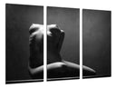 Tríptico silueta mujer desnuda fondo negro