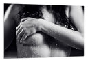 Cuadro torso mujer desnuda
