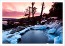 Lámina Paisaje Bosque Invierno Atardecer,naturaleza