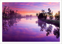Lámina Paisaje Naturaleza Lago Laguna Arbol Atardecer