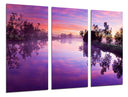 Tríptico Paisaje Naturaleza Lago Laguna Arbol Atardecer