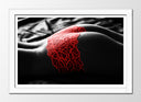 Cuadro enmarcado blanco silueta de mujer ropa interior roja, blanco y negro