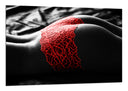 Cuadro silueta de mujer ropa interior roja, blanco y negro