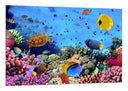 Cuadro Paisaje Bajo el Mar, Peces Acuario