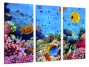 Tríptico Paisaje Bajo el Mar, Peces Acuario
