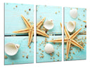 Tríptico estrellas de mar sobre madera, conchas