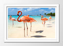 Cuadro enmarcado blanco paisaje flamenco en la playa, animal, naturaleza, rosa