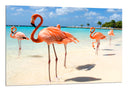 Cuadro paisaje flamenco en la playa, animal, naturaleza, rosa