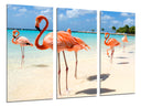 Tríptico paisaje flamenco en la playa, animal, naturaleza, rosa