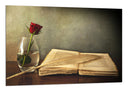 Cuadro libro antiguo, escritura, rosa, vintage