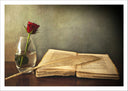 Lámina libro antiguo, escritura, rosa, vintage