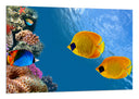 Cuadro paisaje peces bajo el mar, acuario, colores, salvaje, animal, naturaleza