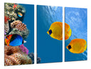 Tríptico paisaje peces bajo el mar, acuario, colores, salvaje, animal, naturaleza