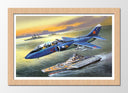 Cuadro enmarcado natural aviones antiguos, guerra, animado, aviacion