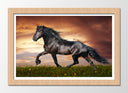 Cuadro enmarcado natural caballo negro, animales, salvaje, naturaleza