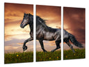 Tríptico caballo negro, animales, salvaje, naturaleza
