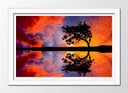 Cuadro enmarcado blanco Paisaje Naturaleza Lago Laguna Arbol Atardecer
