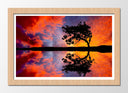 Cuadro enmarcado natural Paisaje Naturaleza Lago Laguna Arbol Atardecer