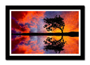 Cuadro enmarcado negro Paisaje Naturaleza Lago Laguna Arbol Atardecer