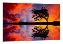 Cuadro Paisaje Naturaleza Lago Laguna Arbol Atardecer