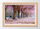 Cuadro enmarcado natural Camino Bosque en Otono, Camino de Flores Rosas,naturaleza