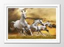 Cuadro enmarcado blanco caballos blanco en la naturaleza, salvaje, naturaleza