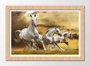 Cuadro enmarcado natural caballos blanco en la naturaleza, salvaje, naturaleza