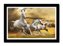 Cuadro enmarcado negro caballos blanco en la naturaleza, salvaje, naturaleza