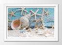 Cuadro enmarcado blanco etsrellas de mar, conchas ,caracolas sobre el mar
