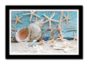 Cuadro enmarcado negro etsrellas de mar, conchas ,caracolas sobre el mar