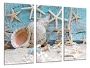 Tríptico etsrellas de mar, conchas ,caracolas sobre el mar