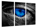 Tríptico ojo azul intenso hombre blanco y negro