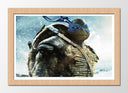 Cuadro enmarcado natural las tortugas ninja, donatello, azul, tortuga