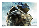 Cuadro las tortugas ninja, donatello, azul, tortuga