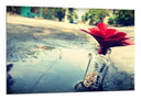 Cuadro flor en una botella, amor, reflejo charco